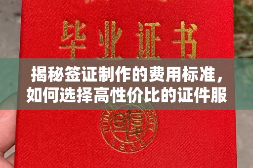 盘龙揭秘签证制作的费用标准，如何选择高性价比的证件服务